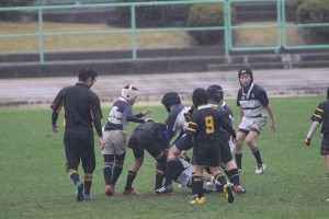 IMG_2286